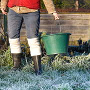 Soigneur d'un jour à la Ferme de Paris
