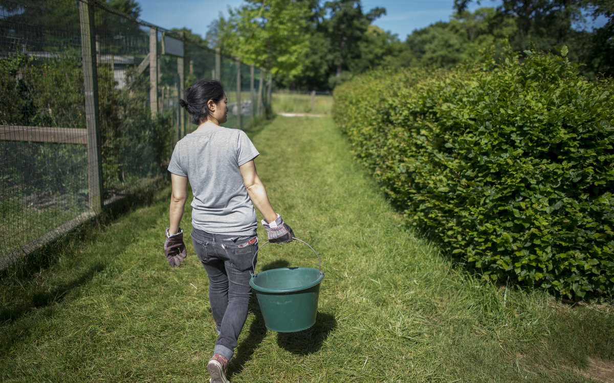 Soigneur d'un jour à la Ferme de Paris