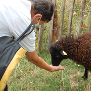 Soigneur d'un jour à la ferme pédagogique René Binet (18e)