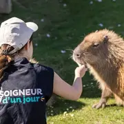 Soigneur d'un jour au parc Parrot World (77)