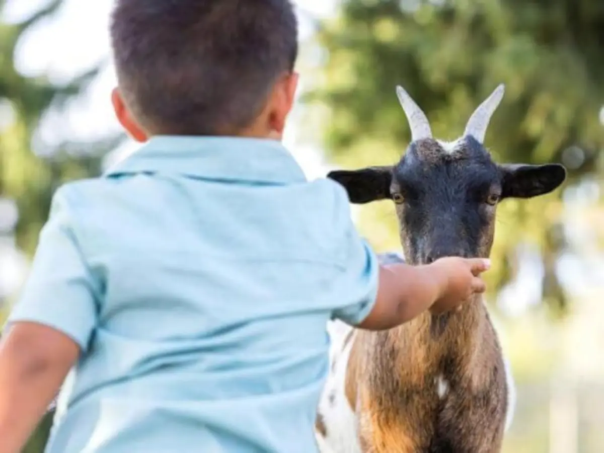 Soigneur en herbe au parc Parrot World (77)