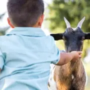 Soigneur en herbe au parc Parrot World (77)