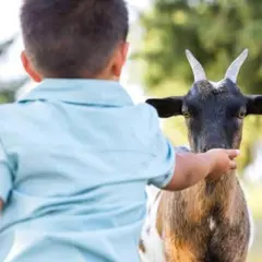 Soigneur en herbe au parc Parrot World (77)