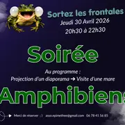 Soirée amphibiens