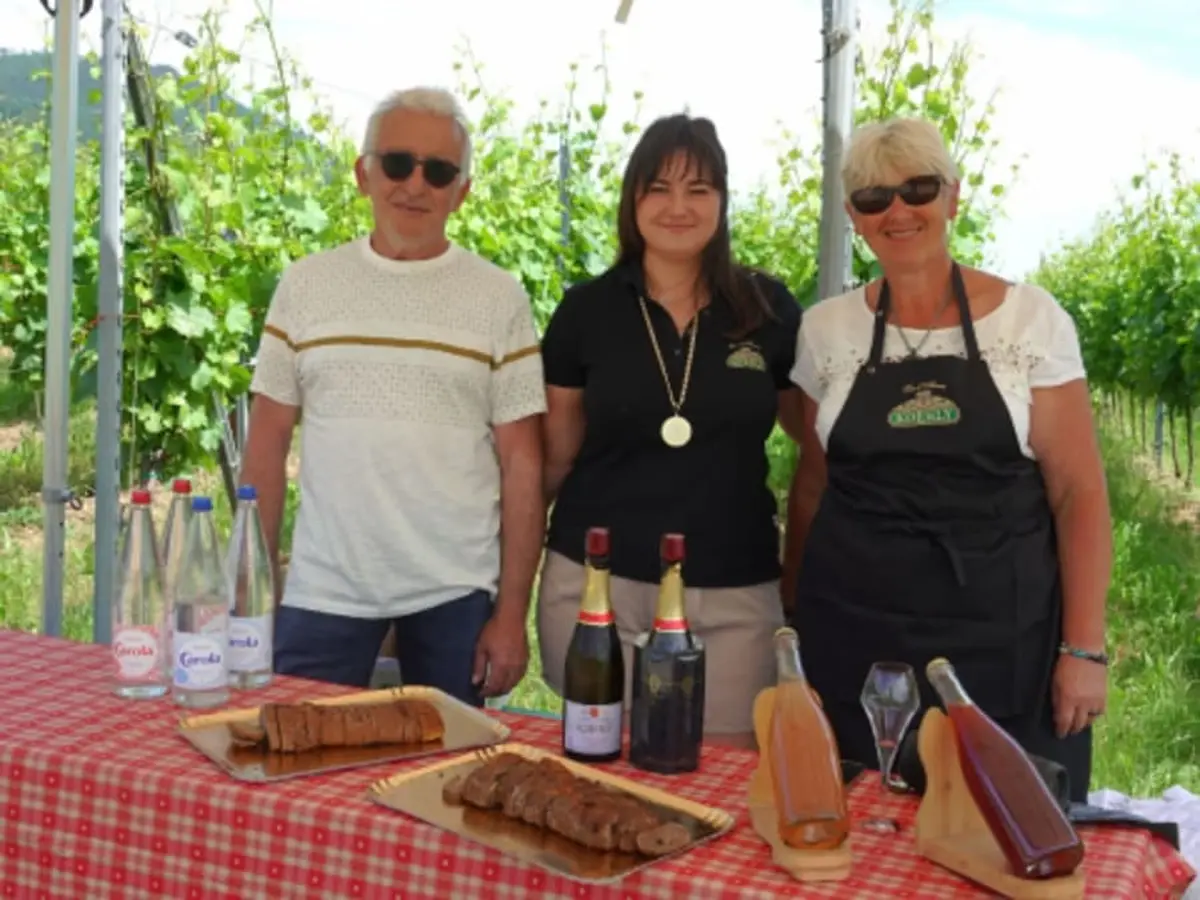 Soirée apéro gourmand et dégustation de vin à Kintzheim (67)