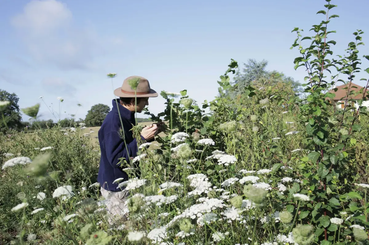 Soirée Art et paysannerie