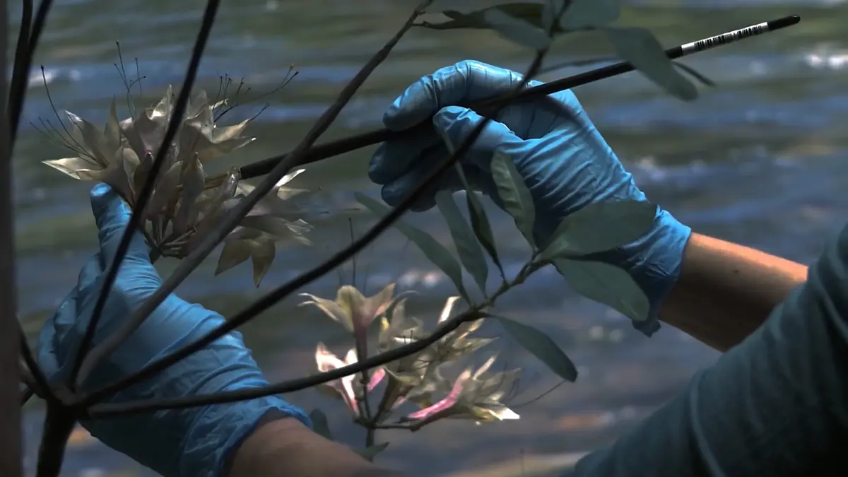 Soirée Astrale #19 Hiver