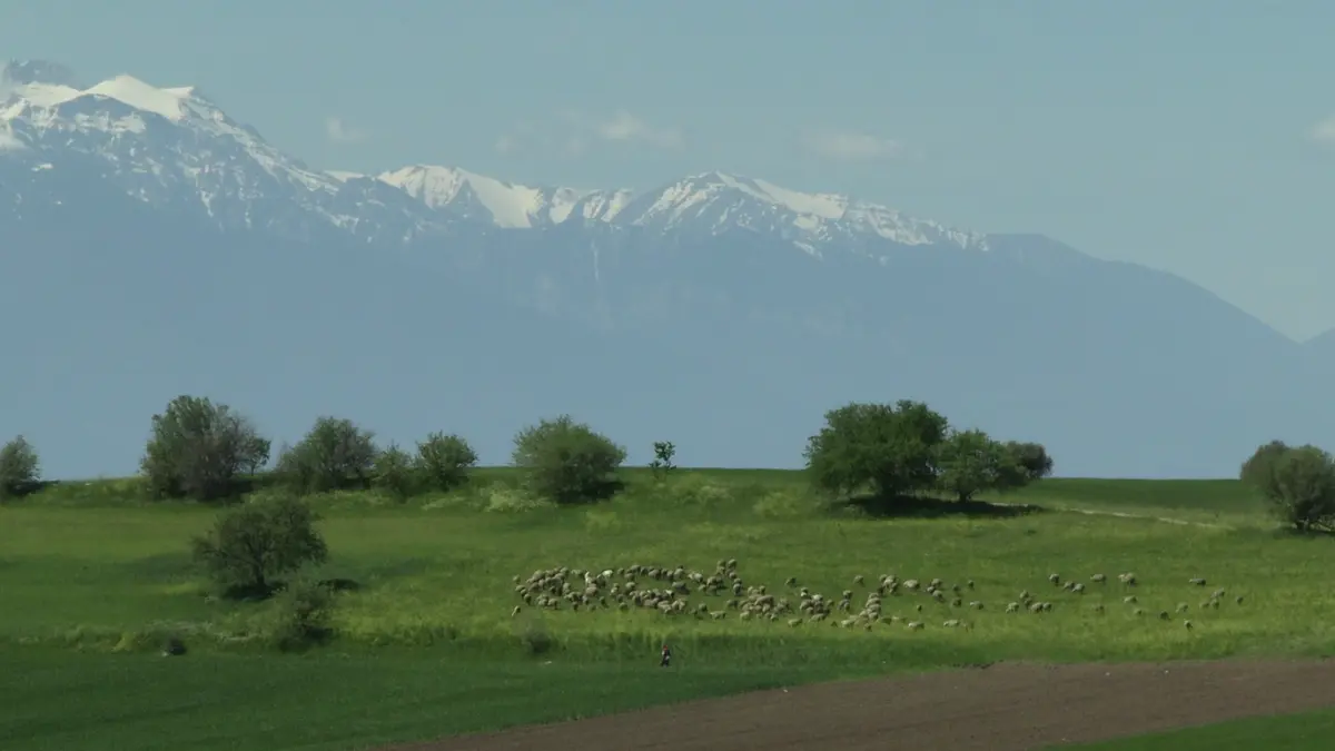 Soirée astrale #20 Été