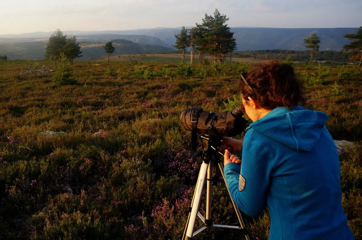 Soiree Astronomie En Cevennes