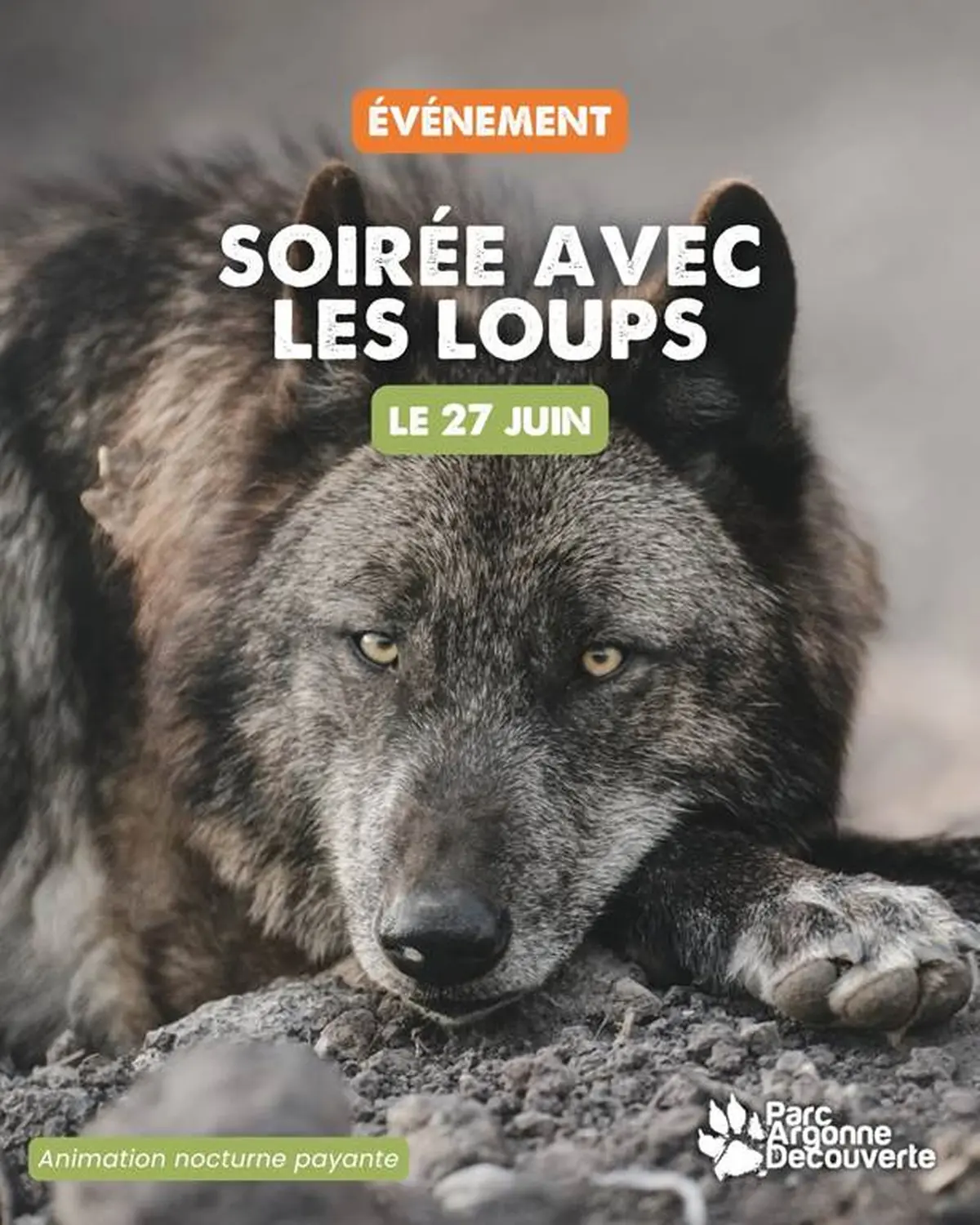 Soirée avec les loups