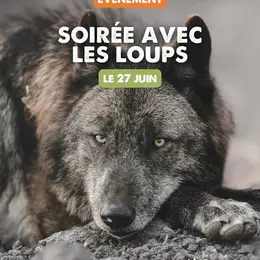 Soirée avec les loups