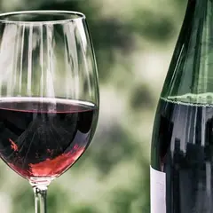 Soirée Beaujolais nouveau