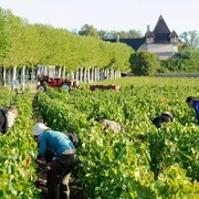 soirée bistrot : tapas et Beaujolais
