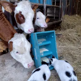 Soirée burger à la ferme de Saint-Juan