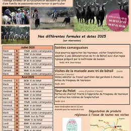 Soirée Camarguaise à la manade Blanc