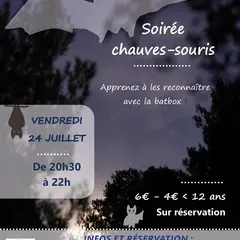 Soirée Chauves-souris