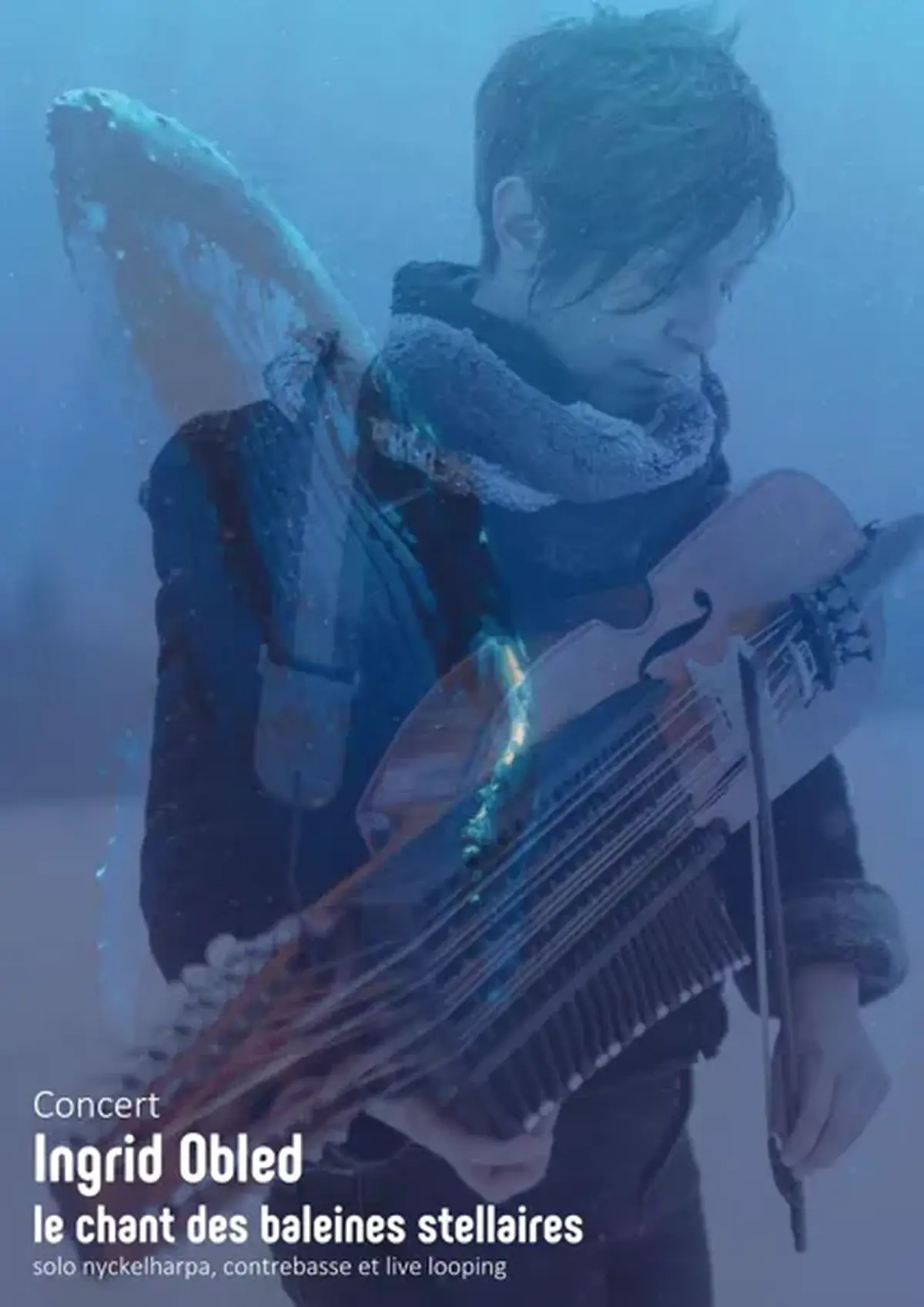 Soirée concert à la Draille