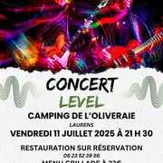 Soiree Concert Avec Le Groupe Level