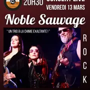Soirée concert chez Margaux avec Noble Sauvage