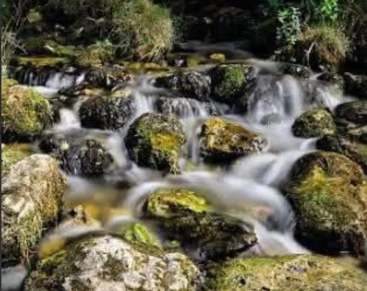 Soirée Conférence : Présentation Des Analyses Minières