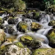 Soirée Conférence : Présentation Des Analyses Minières