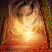 Soirée Contes De 1001 Nuits