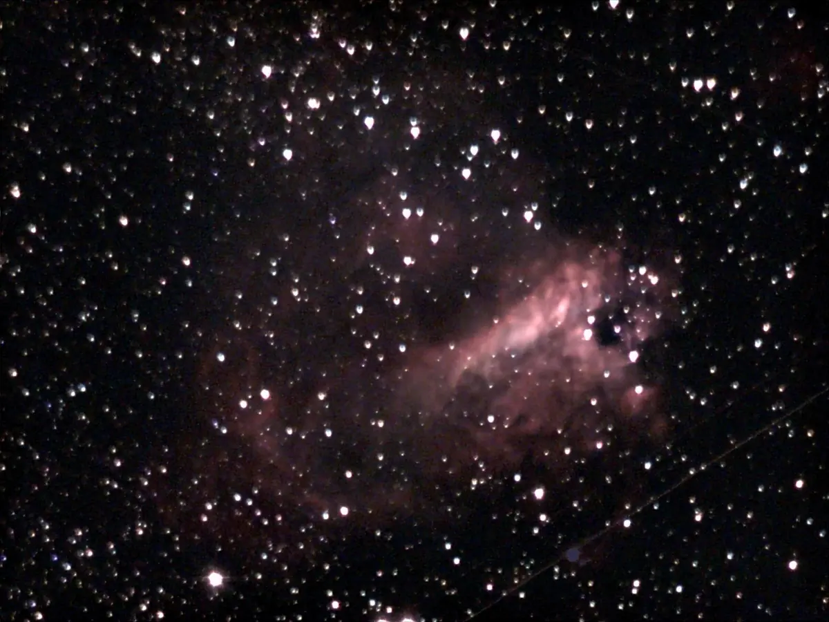 Soirée d'observation La Tête dans les étoiles