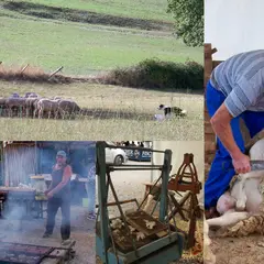 Soirée de l'agneau