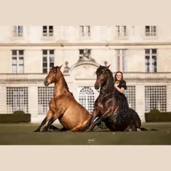 Soirée de l'élevage et spectacle équestre d'Élisa Laville