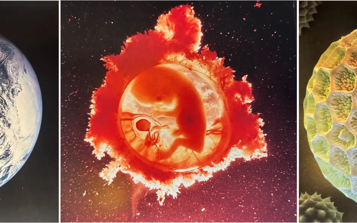 Soirée de lancement - Parcours Robustesse