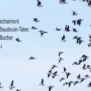 Soirée de performances : Écriture, Mouvement, Amour - Les écritures bougées