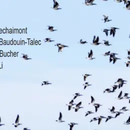 Soirée de performances : Écriture, Mouvement, Amour - Les écritures bougées