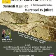 Soirée découverte de la nature du Havre de la Vanlée sous le chant des Alytes