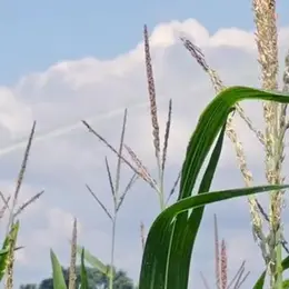 Soirée Docu/débats