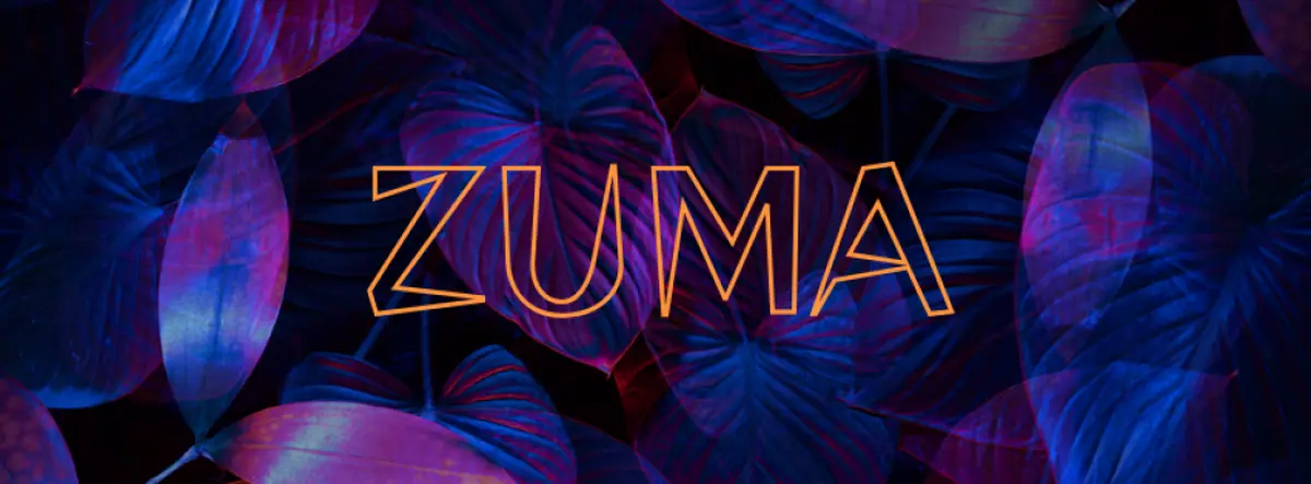 Soiree Electro A La Rosee Du Matin