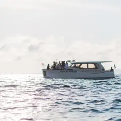Soirée en bateau au départ de Marseille, rive droite (13)