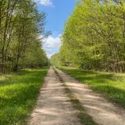 Soirée en forêt de Tardonne
