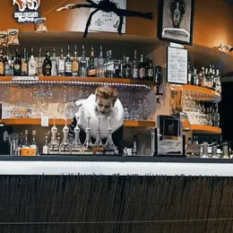 Soirée Halloween au Bowling de Vire Normandie