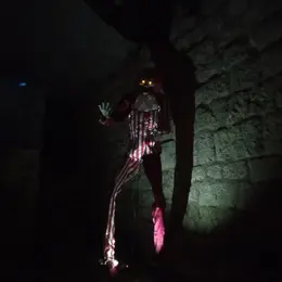 Soirée Halloween dans les galeries