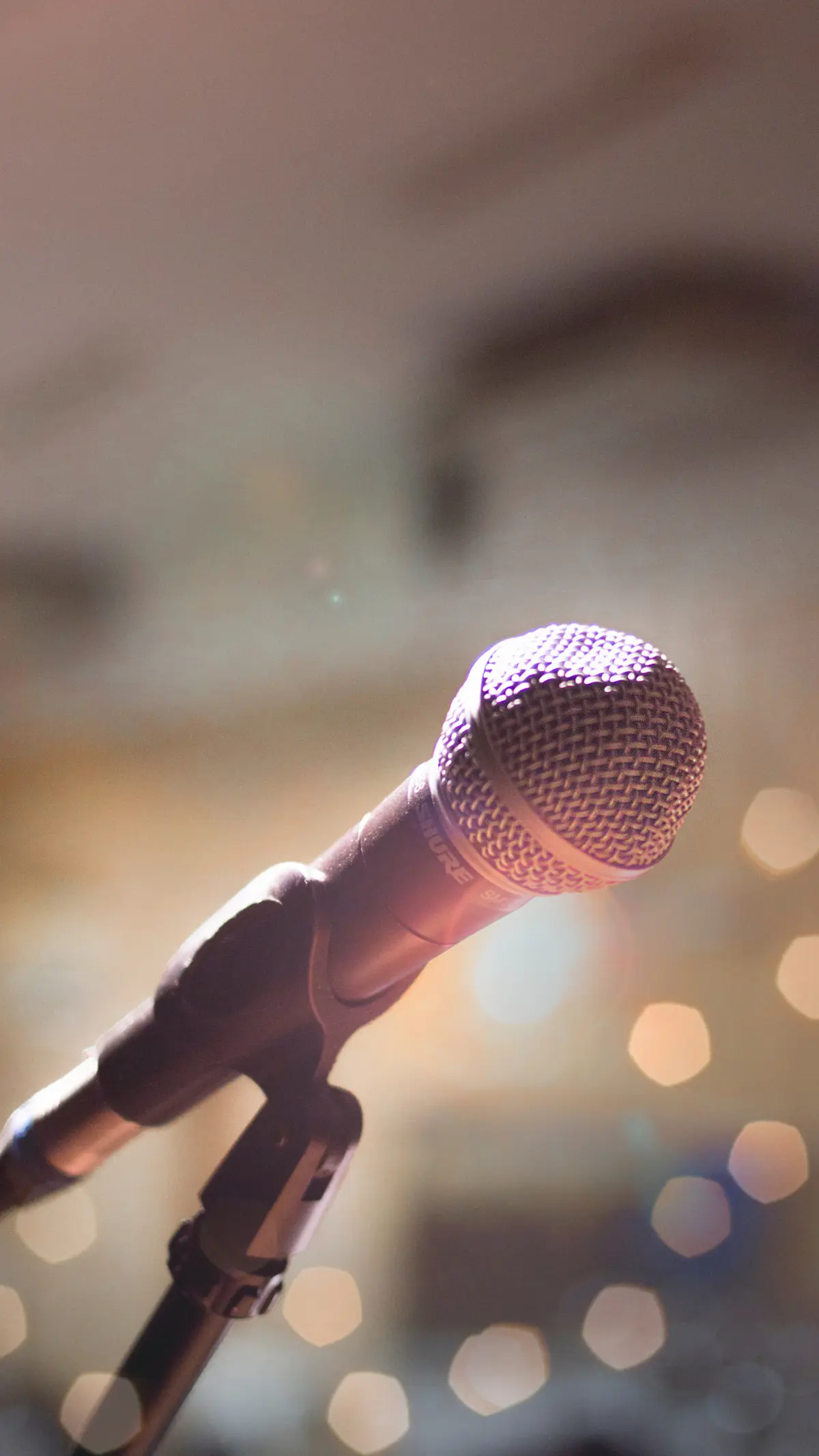 Soirée Hommage à Claude François