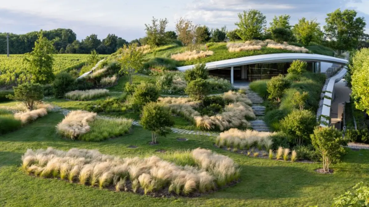 Soirée immersive à Haut-Bailly avec visite des chais suivie d’un dîner au Cellarium
