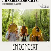 Soirée irlandaise : Arcáin Collective - trio de musique irlandaise