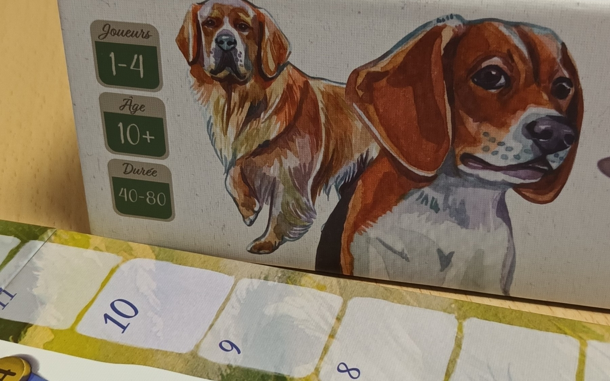 Soirée jeux à la Maison de l’animal