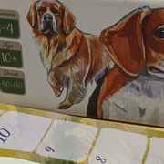 Soirée jeux à la Maison de l’animal