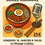 Soirée karaoké et repas coréen avec La Bichetrot