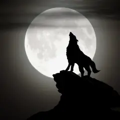 Soirée Loup Garou Adultes