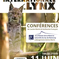 Soirée Lynx
