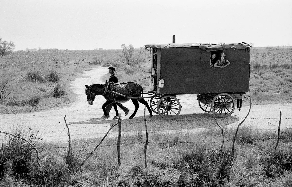 Soirée parrain : Rencontre avec Hans Silvester