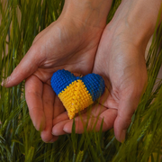 Soirée pour la Journée internationale des droits de l’Homme