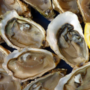 Soirée | Rdv à dix huîtres heures